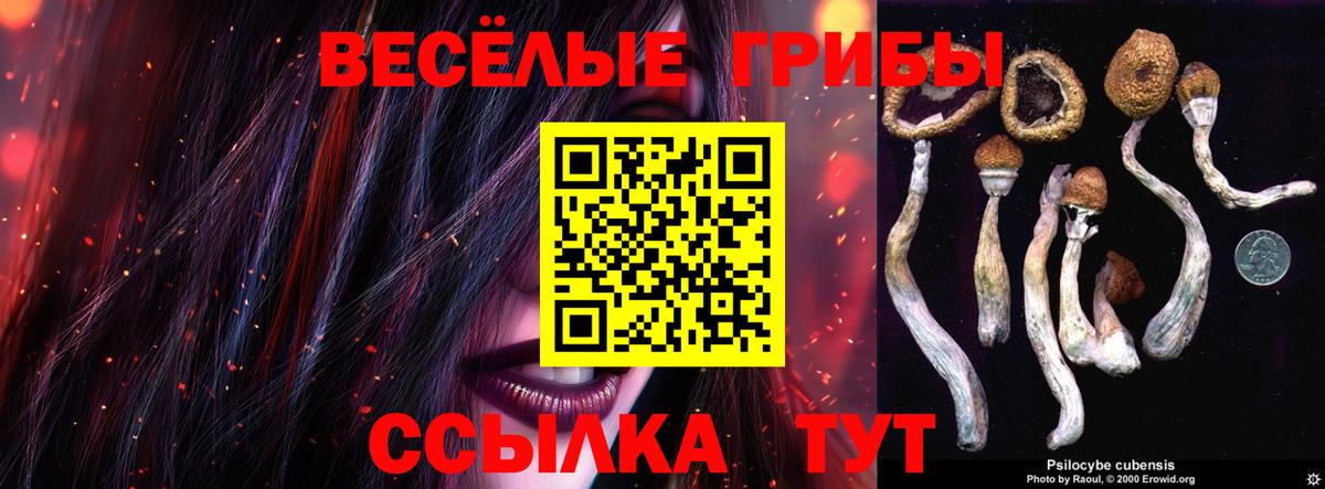 Псилоцибиновые грибы Cubensis Кисловодск