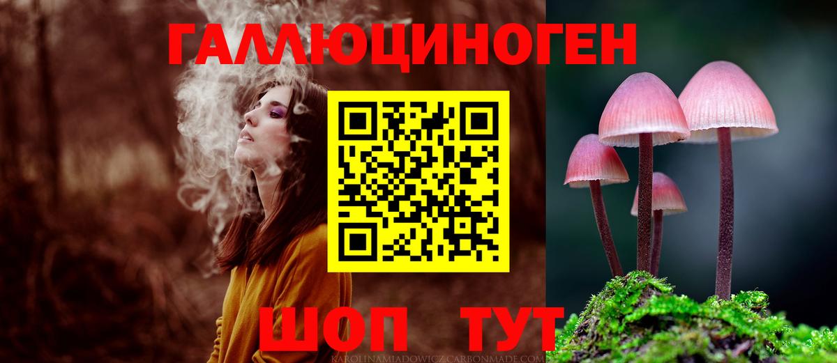 где купить наркоту  Вход с VPN  Кисловодск  Галлюциногенные грибы GOLDEN TEACHER 
